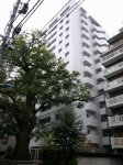 パークハウス楠郷臺（なんごうだい） 8F画像