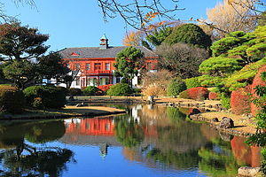 小石川植物園写真