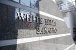 WHITE HILLS SAKAINO～ホワイトヒルズサカイノ～　建物看板